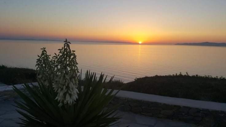 Syros Apartments Suites Chryssonisos 金尼昂 外观 照片